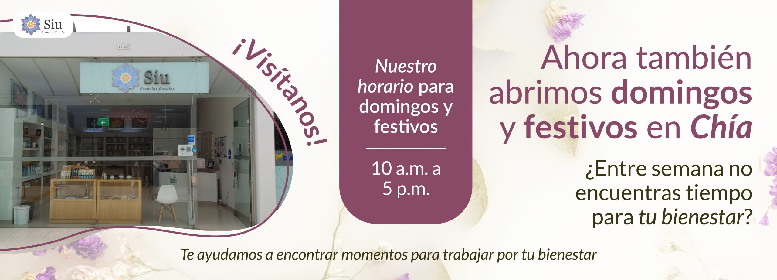 Banner Web Chía Horarios