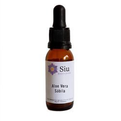 Aloe vera / Sábila