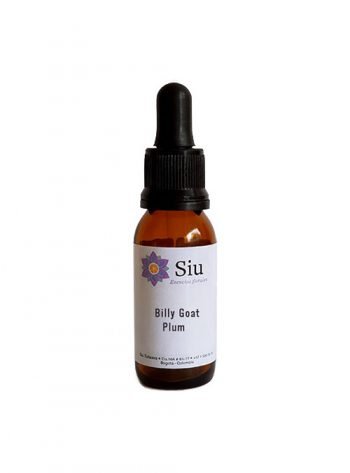 Billy goat plum