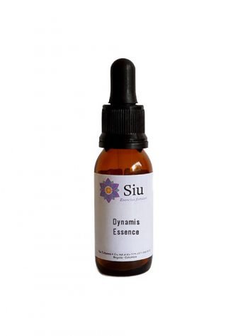 Dynamis essence
