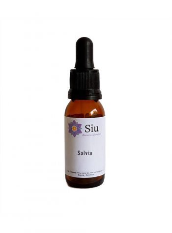 Salvia