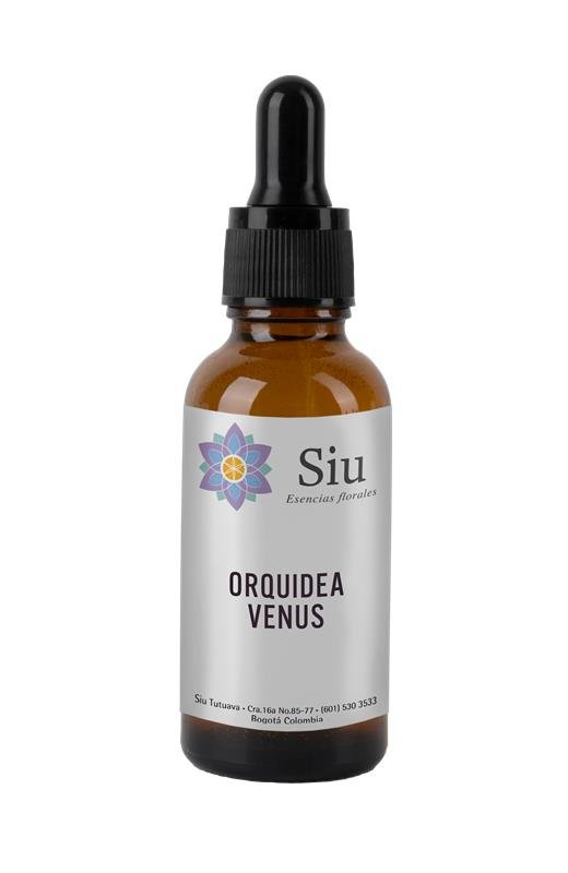 Orquídea Venus
