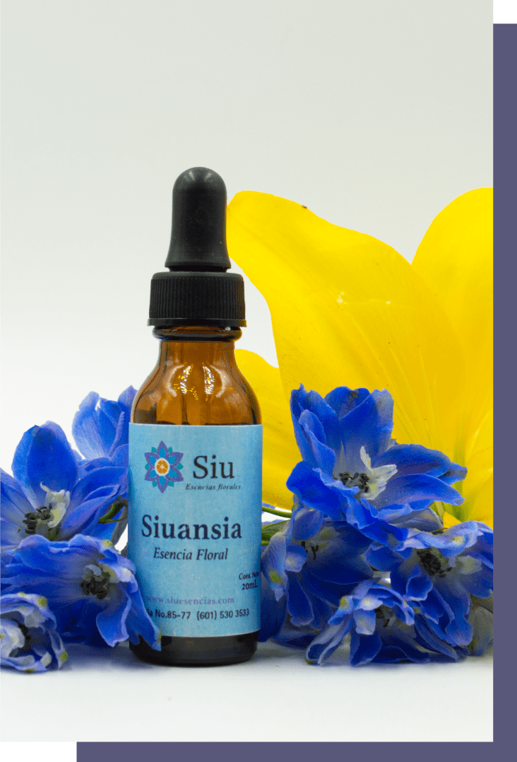 Producto Siuansia