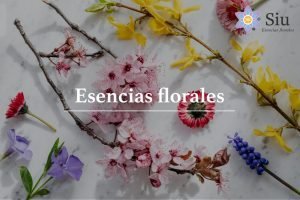 esencias florales