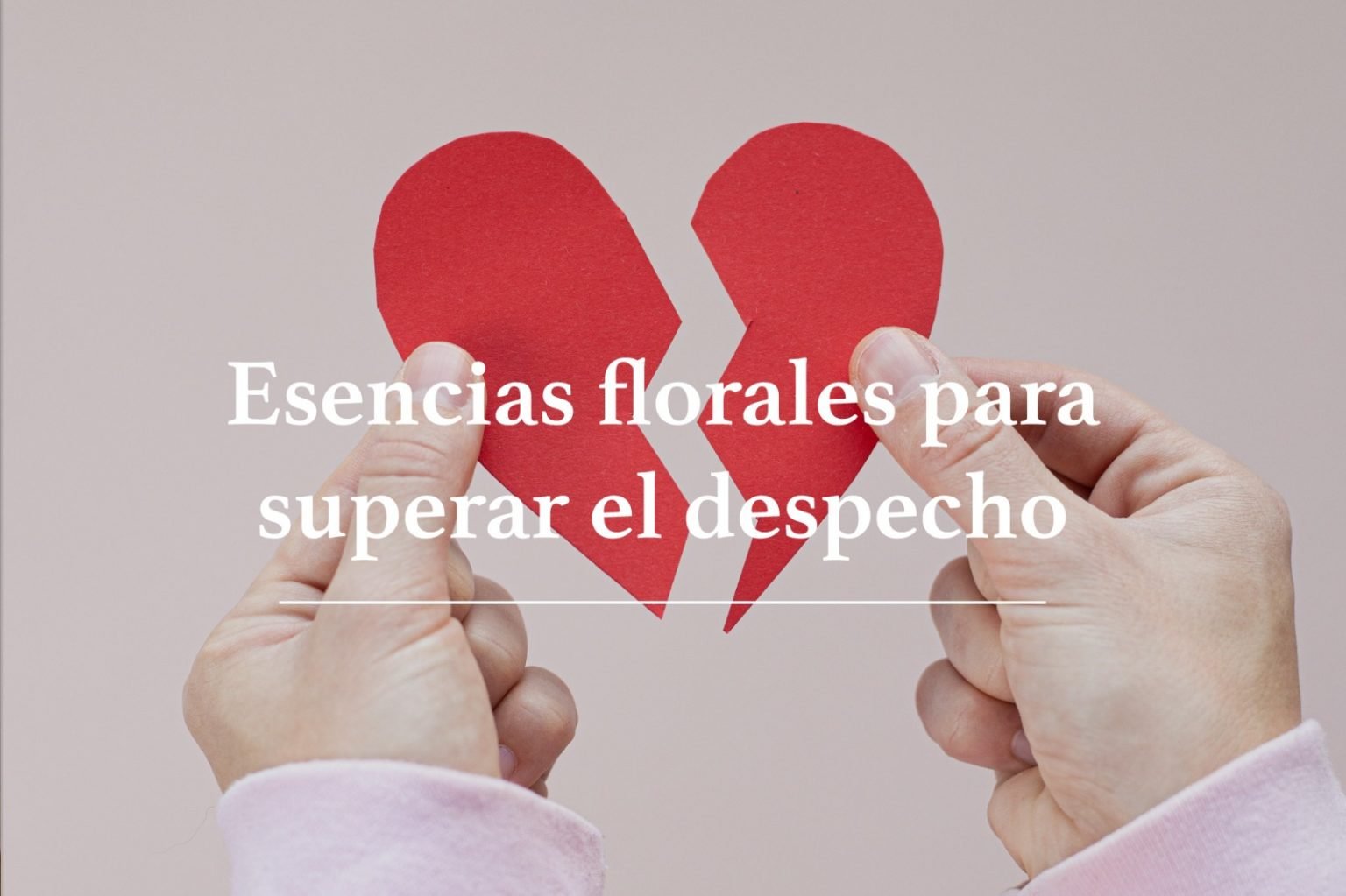 Esencias florales para superar el despecho