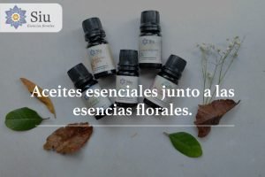 Aceites esenciales junto a las esencias florales