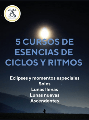 5 cursos sheilak