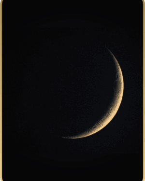 Sheilak Curson lunas nuevas