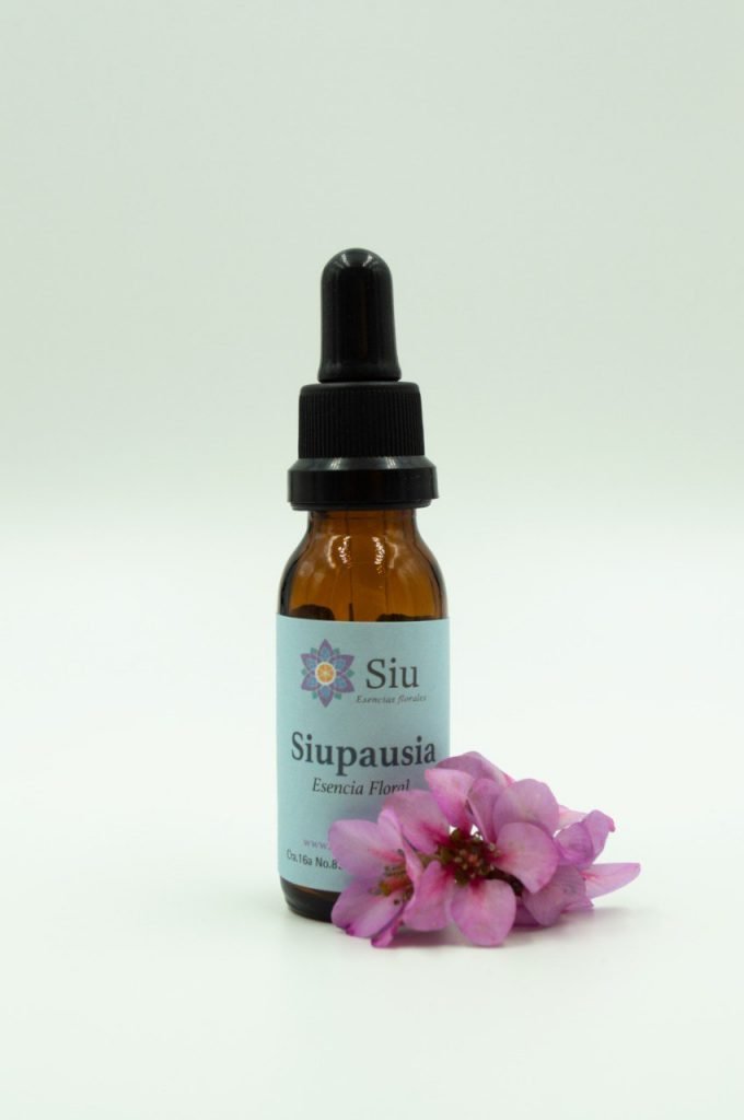 siupausia landing