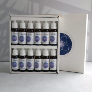 Botiquín Eje Puente