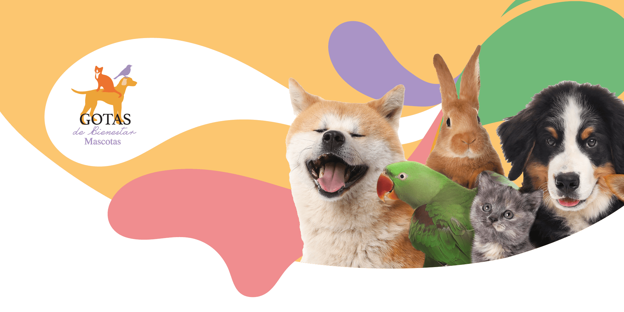 portada-inicial-mascotas-siu-esencias