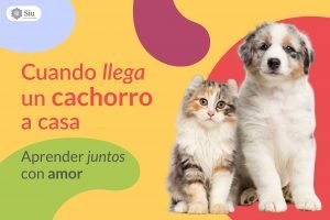 portada-blog-cuando-llega-un-cachorro-a-casa-siu-esencias