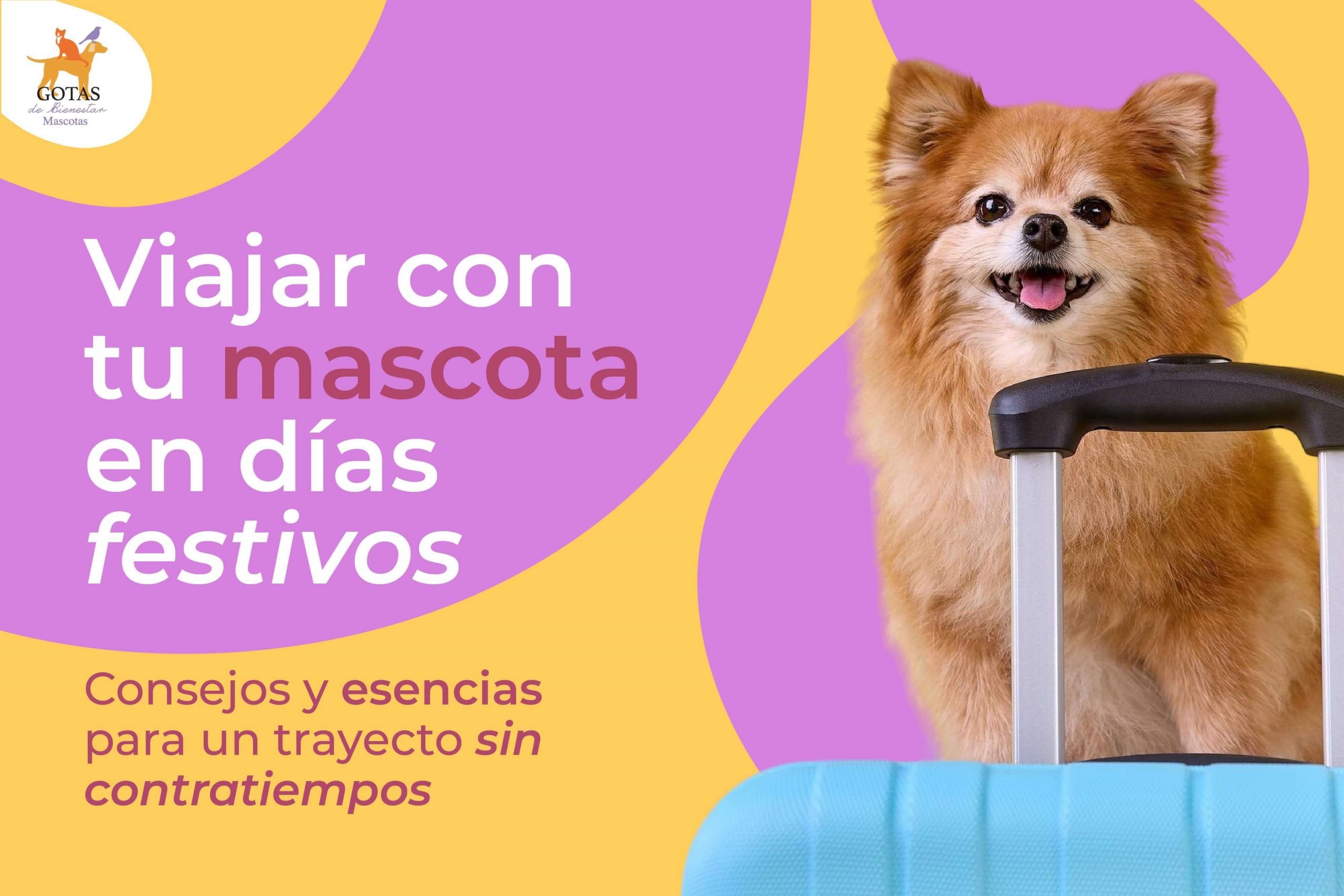 post-blog-viajar-con-mascotas-siu-esencias
