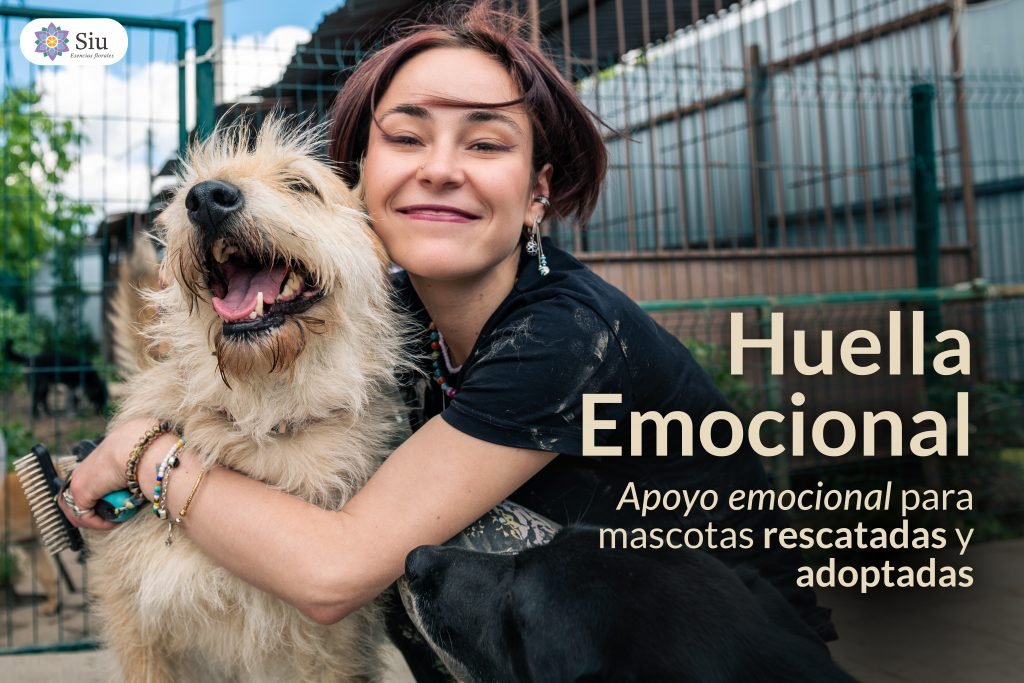 portada-blog-huella-emocional-siu-esencias