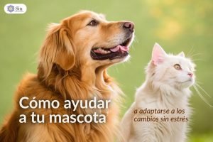 portada-blog-como-ayudar-a-tu-mascota-siu-esencias