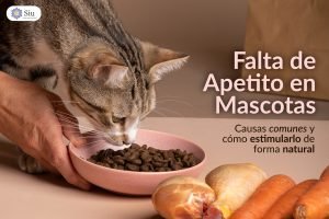 portada-blog-mascotas-apetito-siu-esencias