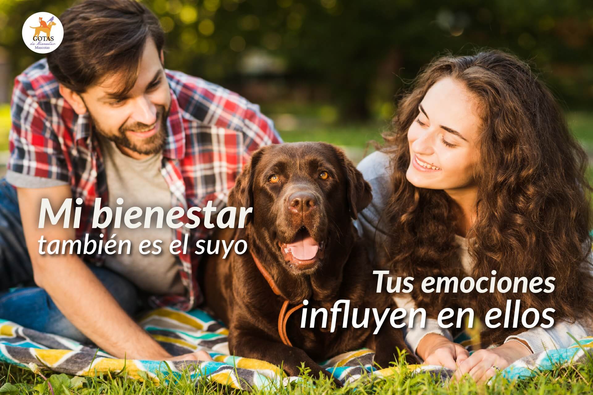 portada-blog-mi-bienestar-es-el-suyo-siu-esencias