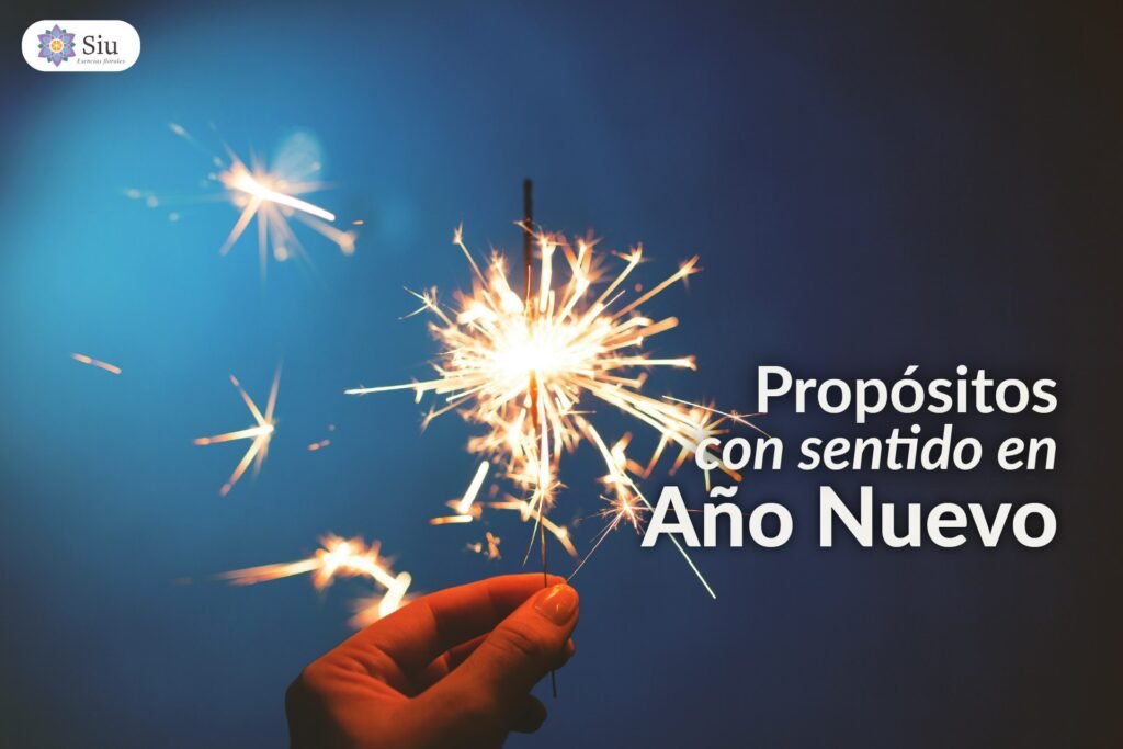 proposito-con-sentido-en-ano-nuevo