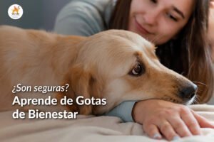 foto-portada-blog-gotas-bienestar-siu-esencias