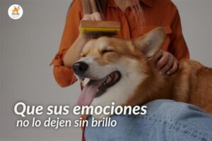 portada-blog-que-sus-emociones-no-lo-dejen-sin-brillo-siu-esencias