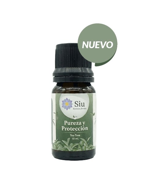 Pureza y Protección